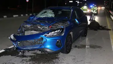 Köy Yolunda Trafik Kazası: 3 Yaralı