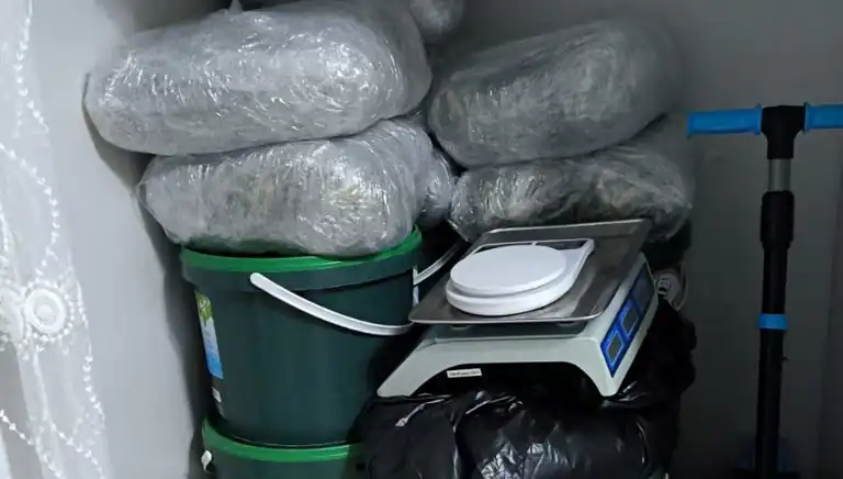 Turşu Kutularında 52 Kilo Skunk Ele Geçirildi